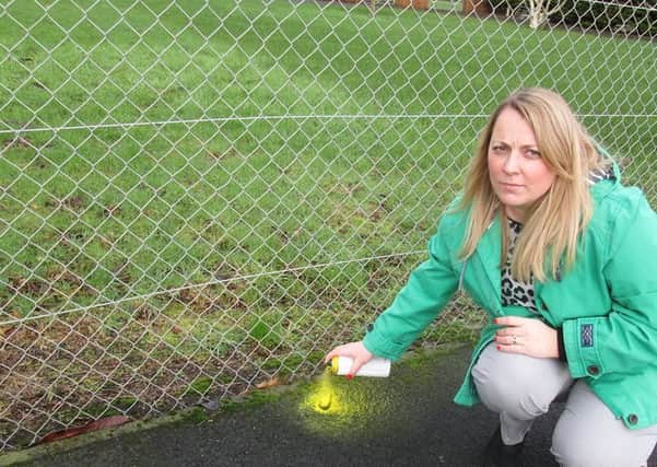 Using biodegradable paint to highlight dog fouling. See story at bottom of page.