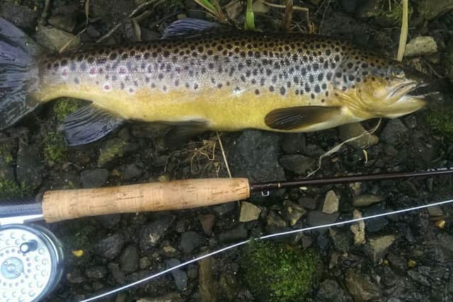 Angling.