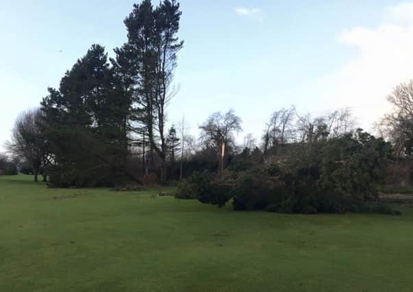 Storm Henry took a few trees down at the fourth hole at City of Derry over the weekend.