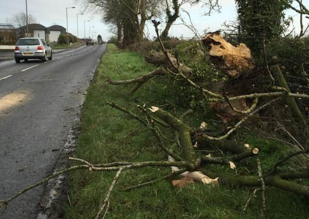 A tree fell on a car on the Orritor Road at around 2.15pm