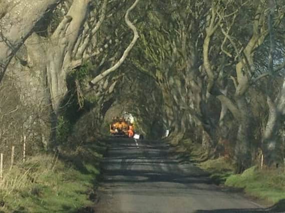 Work begins to burn the white lines off the road at the Dark Hedges. INBM08-16 SS