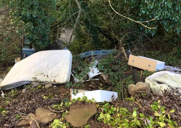 Illegal dumping near Ards Drive in Monkstown. Pic courtesy of Three Mile Water Conservation and Angling Association. INNT 07-811CON