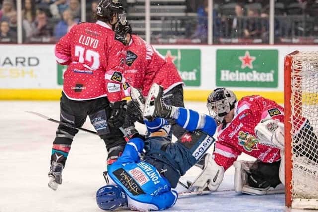 Ballymoney's Andrew Dickson in action as netminder for the Belfast Giants against Cortina