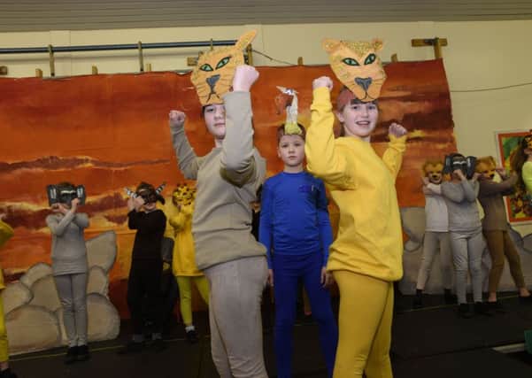 A scene from the production of Ã¢Â¬ÃœThe Lion KingÃ¢Â¬" at Cumber Claudy Primary School. INLS0916-109KM