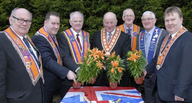 Orange Lilies campaign to mark Somme centenary