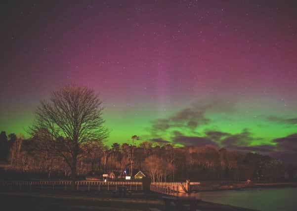 The Northern Lights over Carnfunnock Country Park. Picture provided by Caroline Smyth.  INLT 10-803CON