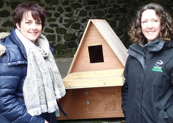 Pam Cameron MLA (left) joins Catherine Fegan from Ulster Wildlife to discuss plans to protect the barn owl, one of Northern Irelands most endangered birds. INNT 11-505CON