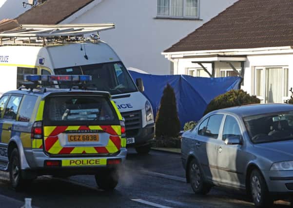 Police and forensic officers at the scene of the fatal stabbing at Carnvale in Ballymena in January 2013