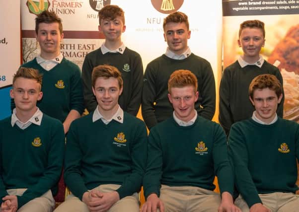 Tandragee boys before heading off to Spain. Back row, from left, are David Cunningham, Cameron Fox, Edward Rowe, Lewis Fox. Front row, from left, are Jordan McKenzie, Jake Rowe (junior captain), William Small, Peter Taylor.