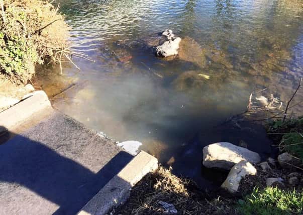 Contaminated water flowing into the Six Mile Water. Picture courtesy of Ballynure Angling Club. INNT 12-800CON