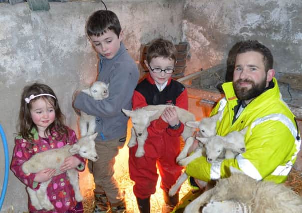 Romney ewe with her 6 lambs. Taken at Ballyneaner, Donemana. Pictured with my children, left to right, Rosaline (3), Joel (8), Jacob (5) and myself Andrew Shannon on Sunday 27th March.