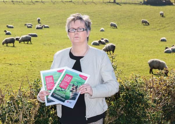 Chair of the Councils Environment Committee, Councillor Christine McFlynn is endorsing the campaign and is urging dog owners to keep their dogs securely housed at night.