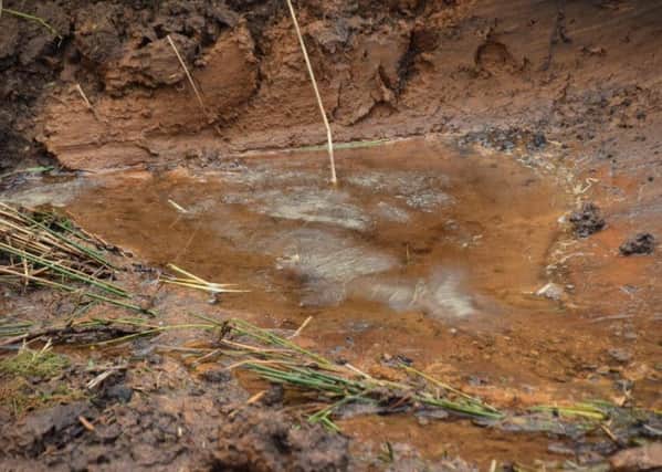 A photograph showing the hydrocarbon spill at Woodburn Forest.  INCT 14-720-CON
