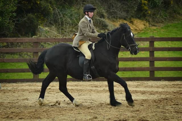 Oliver Edwards on Duke in the finals of the Spring Dressage for All league at Hagans Croft.