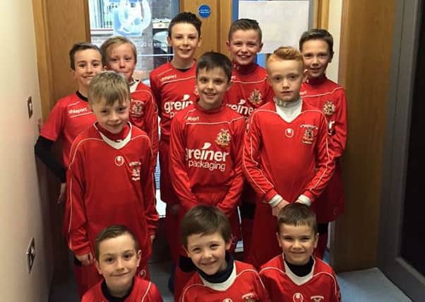 Mascots provided by Portadown Youth ahead of the thirds' cup final triumph against Cookstown in Dungannon.