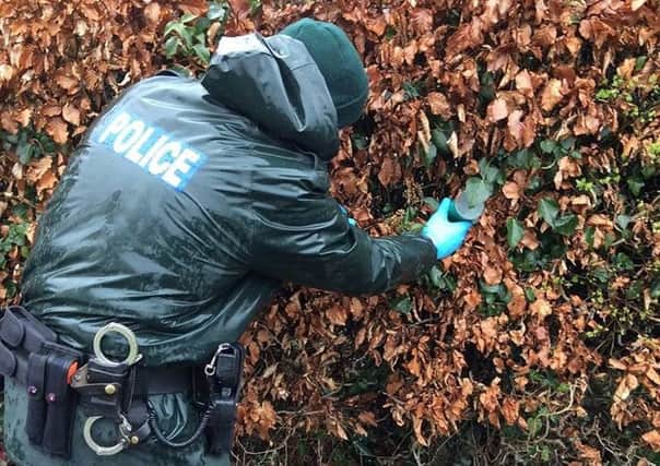 TSG seem to have found drugs hidden in a tube in the hedge