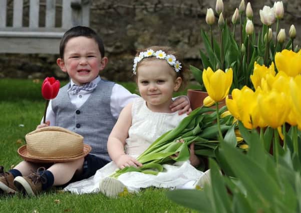 Glenarm Castles popular Tulip festival is back this May bank holiday, from Saturday, April 30 to Monday, May 2.