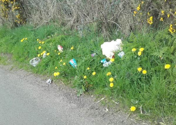 Rubbish littering a Mid Ulster roadside