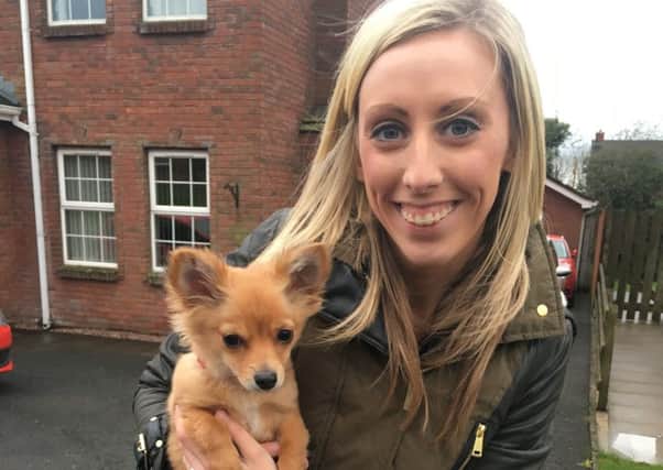 DUP Cllr and Upper Bann candidate Carla Lockhart has said Council and Central Government need to work harder to stamp out Animal Cruelty