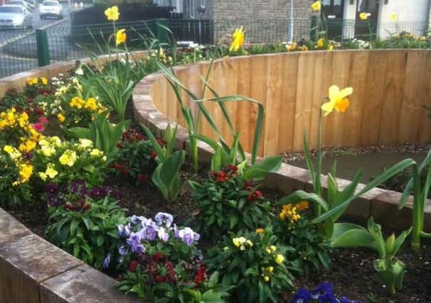 The community garden adds a dash of spring colour to the area. INCT 17-751-CON