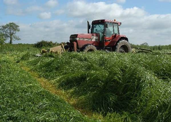 Cutting grass for silage