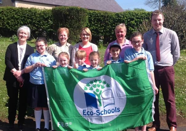 Culnady Primary School has been awarded a prestigious Eco-Schools Green Flag