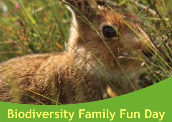 Ballymena Peoples Park will be hosting a free biodiversity family fun day this Saturday, May 21, from 1-4pm. (Submitted Picture).
