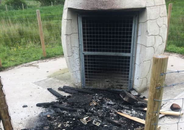 A beehive at Oxford Island was destroyed in an arson attack killing 40,000 bees
