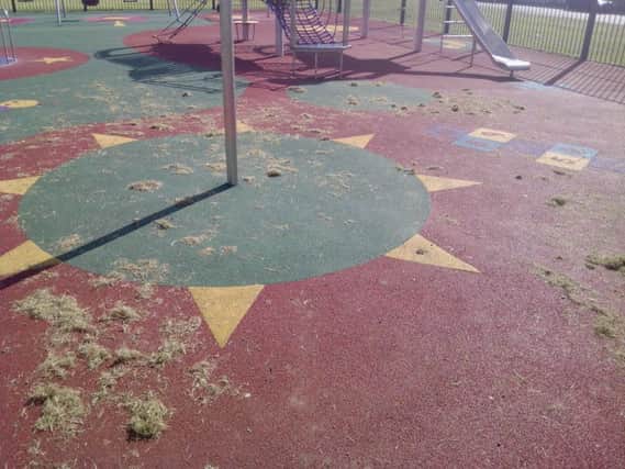 Grass cuttings were trailed into Knockleigh playpark, according to Councillor Paul Sinclair.  INCT 21-705-CON