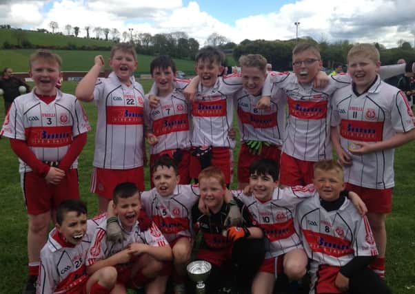 Tir na nOg under 12s celebrate success in the Annaclone-hosted Kingsmill Cup.