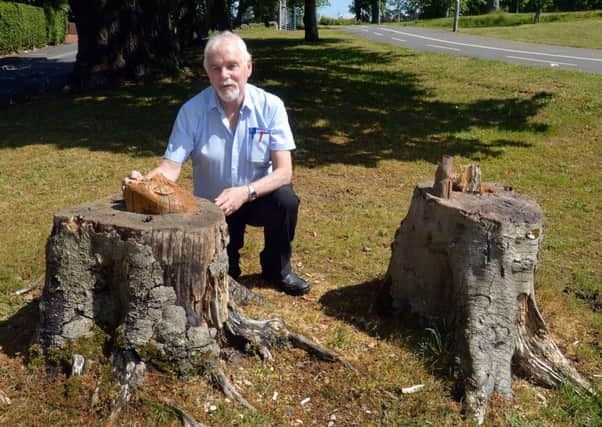 Malice In Wonderland...Council grounds maintainence supervisor, Jimmy Murray pictured with what remains of a carved wooden statue of 'Alice' and a wooden chair in Edenvilla Park which were destroyed by vandals at the weekend. INPT22-204.