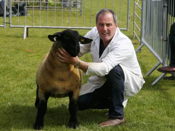 Packie Donnelly from Martinstown with his prize winning Suffolk at Ballymena Show. INBT 22-116JC