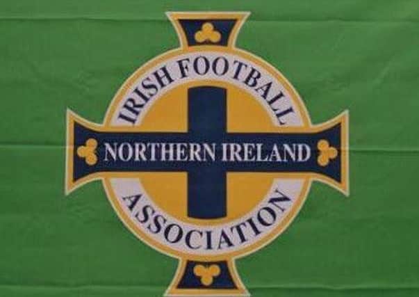 The new Northern Ireland flag, in memory of Ballymena man Ric Moore by his brother Nigel (front, right) and friends ahead of the European Championships.