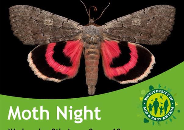 Free Moth Night event at The People's Park on Wednesday, June 8, from 8-10pm. (Submitted Image).