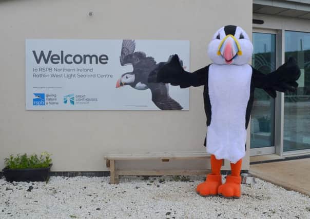 To celebrate 100 days since the re-opening of the Rathlin West Light Seabird Centre, RSPB Northern Ireland is running a competition to find a name for its new puffin mascot! INBM26-16S