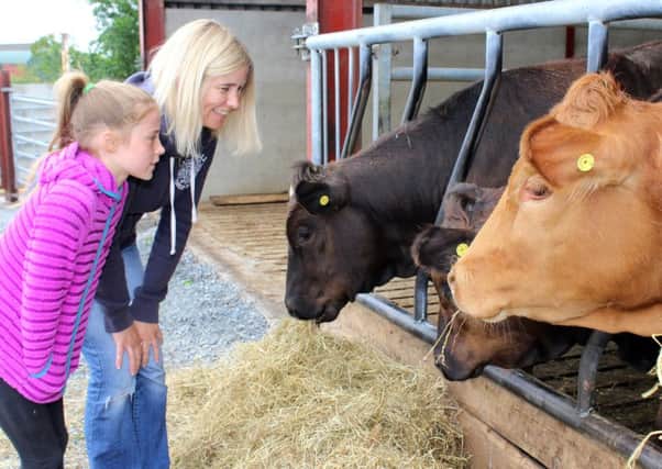 Admiring the cattle at Blackberry Hill Farm, Gilford are Julie-Ann Moorhead, DAERA who is a member of the Steering Group team of the Bank of Ireland Open Farm Weekend and her daughter, Emily.