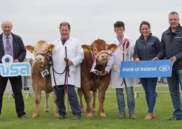 The Saintfield Show qualifiers for the Bank of Ireland/NISA Beef Bull Championship were British Blonde bull Budore Leo bred by Paul McGarry, Dundrod; and Limousin bull McParland's Light Forever shown by James and Mark McParland, Belleeks. Included are Robert Dick, chairman, NISA; and Lisa Doran and Michael Pucci, Bank of Ireland. Picture: McAuley Multimedia.
