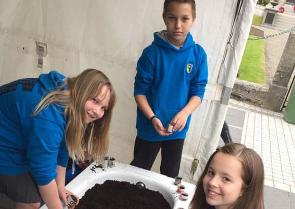 Pupils from Carrick Primary School enjoying some composting at Lurgan Market recently.