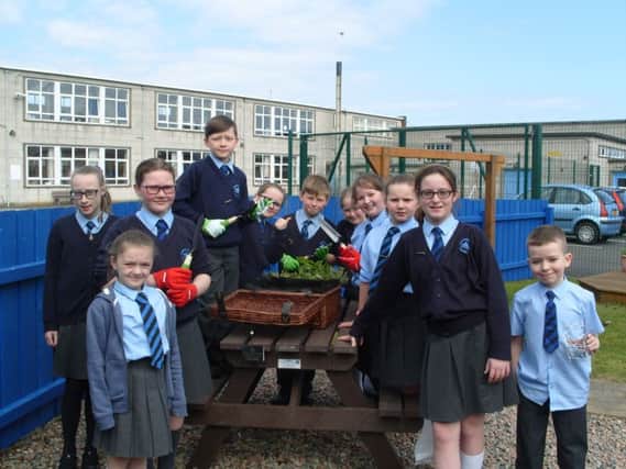 Carrickfergus Central Primary School's Eco-Council working on their miniature garden, from left, Charley Acheson-Craig, Leah McFall, Emily Armstrong, Sonny Waite, Mykenzie Blackwood, Caleb Coulter, Eva Marks, Keeley Smylie, Beth Armstrong, Lucy Doris and Dylan Mawhinney. INCT 26-708-CON