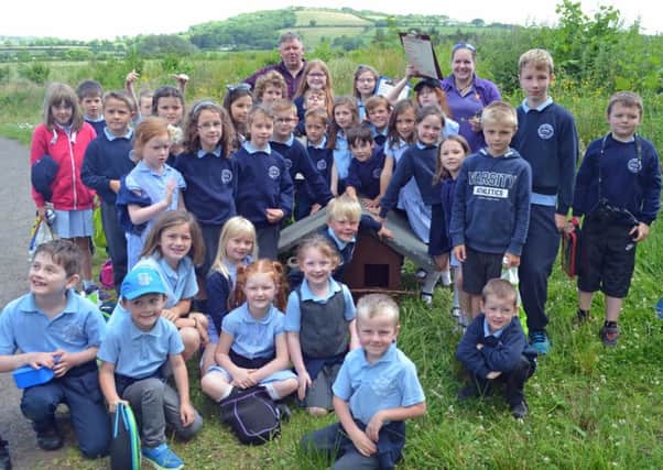 Kilcoan Primary School pupils with a barn owl box at the Jubilee Wood.  INCT 27-724-CON