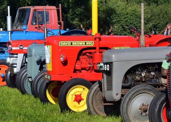 Colourful tractors on display at the Waringstown Vintage Cavalcade. INLM26-207.