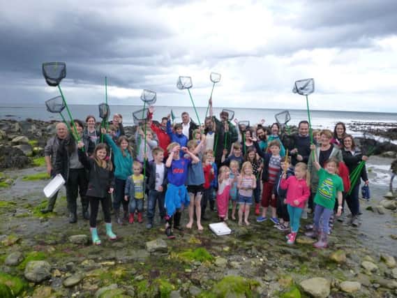 Ulster Wildlife is encouraging local people to do more than dip a toe in the water this summer and discover what lies beneath the waves during National Marine Week