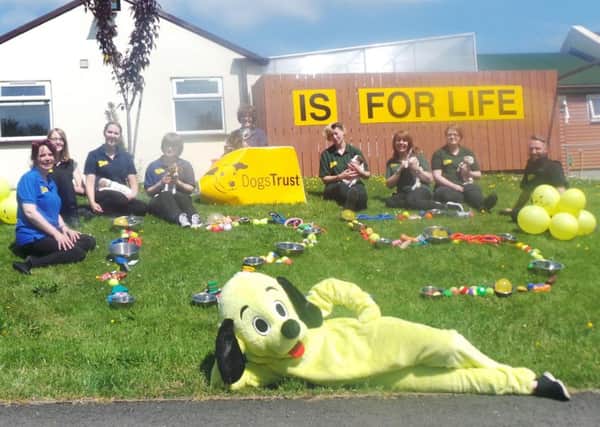 Dogs Trust Ballymena staff celebrate 125 years with the help of some four legged friends.