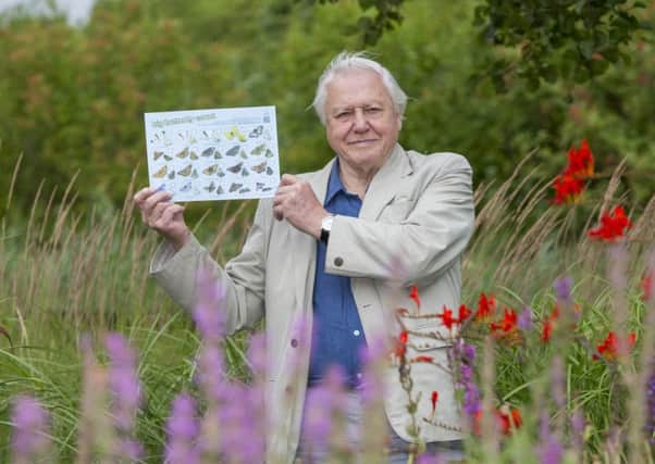 Sir David Attenborough pictured launching the Big Butterfly Count 2015, at London Wetland Centre, on 17 July last year. (Submitted Picture: Credit Helen Atkinson).