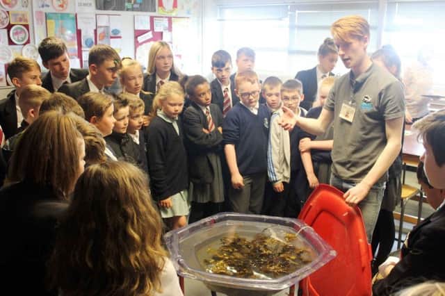 Pupils from Ulidia Integrated College in Carrickfergus with  James Rainey, Nature Skills trainee with Ulster Wildlife. INCT 29 791-CON