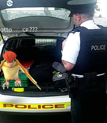 Please step out of the vehicle. Pigeotto hitches a ride with PSNI Lisburn.