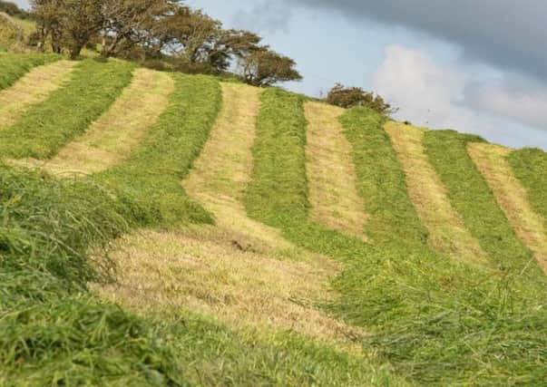 Silage safety reminder for farmers.