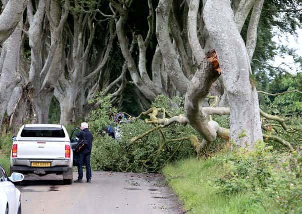 The Dark Hedges on Wednesday, July 27, 2016