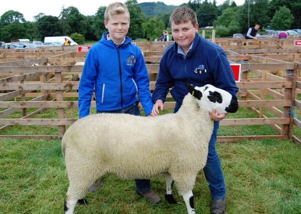 Brothers Matthew and Adam Kincaid with their Kerryhill shearling at Clogher Valley Show