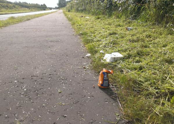 Litter scattered along the Cullybackey Road